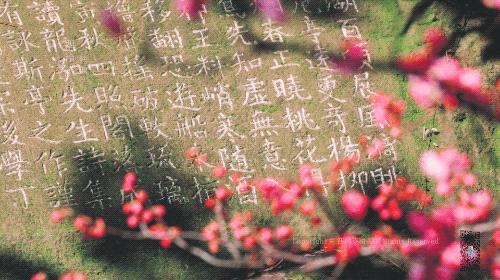 杭州西湖美景跟古诗里的一样迷人,杭州灵隐寺烟雨江南