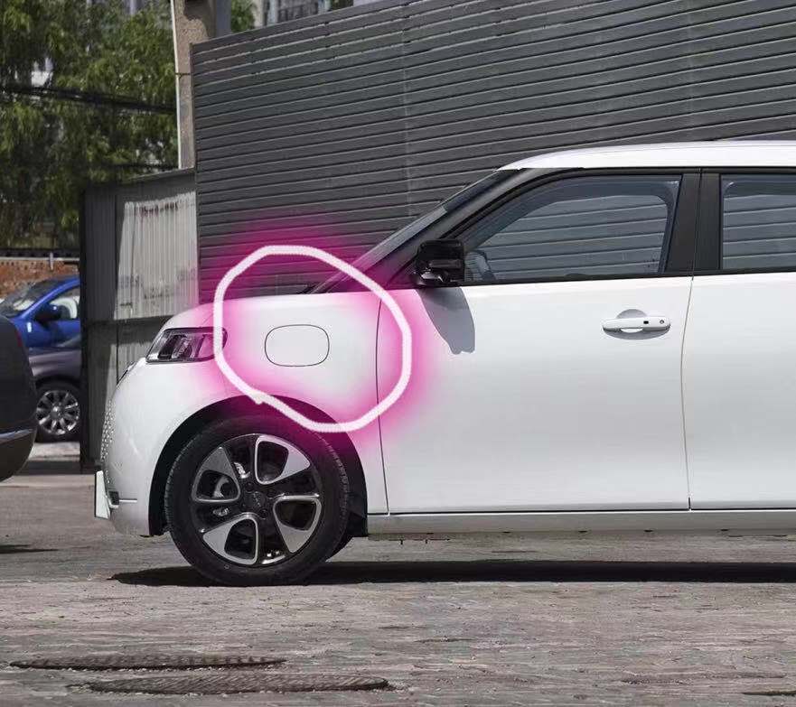 薛定谔的猫实测,欧拉白猫小野猫试驾