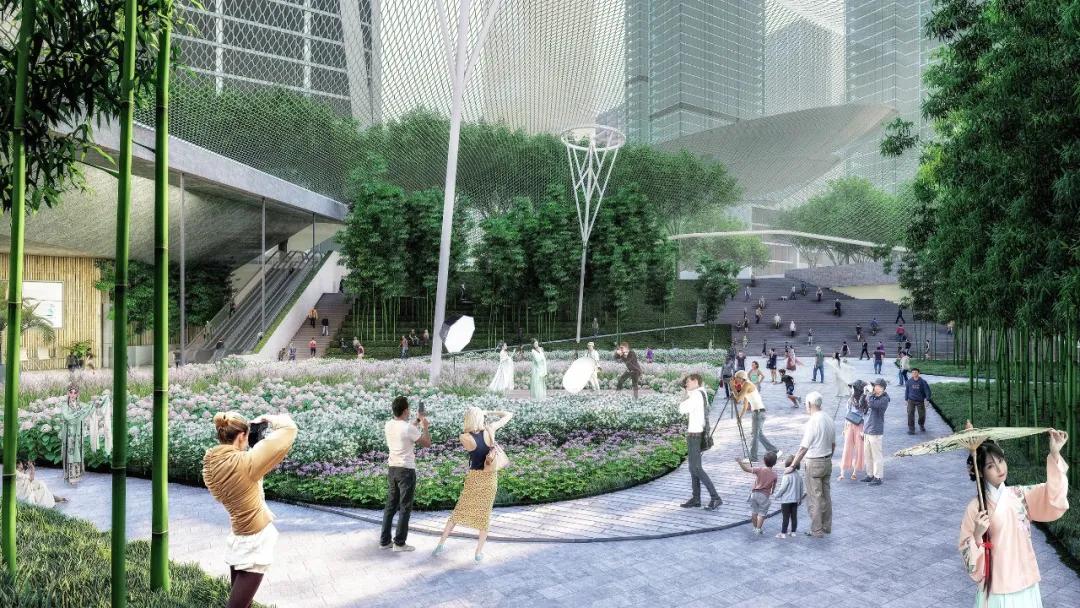 深圳湾超级总部基地绿化,深圳湾超级基地