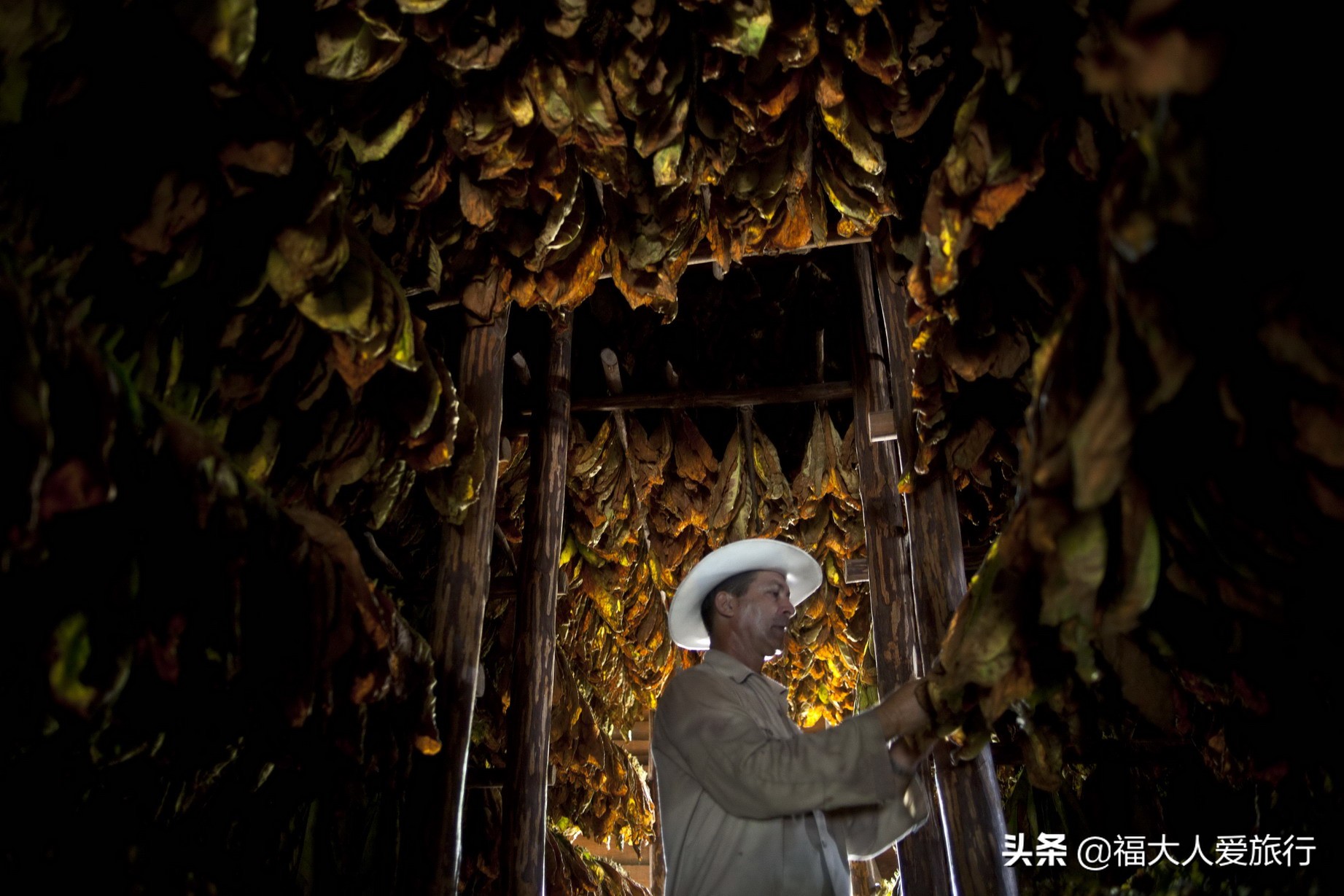 给我一支雪茄，我别无他求！探访世界顶级雪茄故乡，人人享用其中