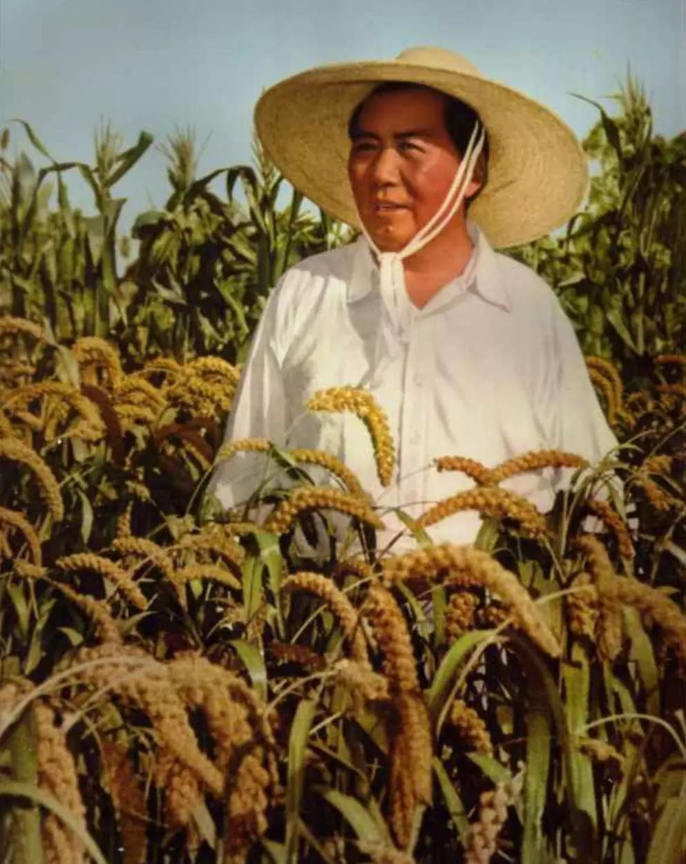 毛主席的50句话：句句振奋人心，充满力量！我辈当牢记于心