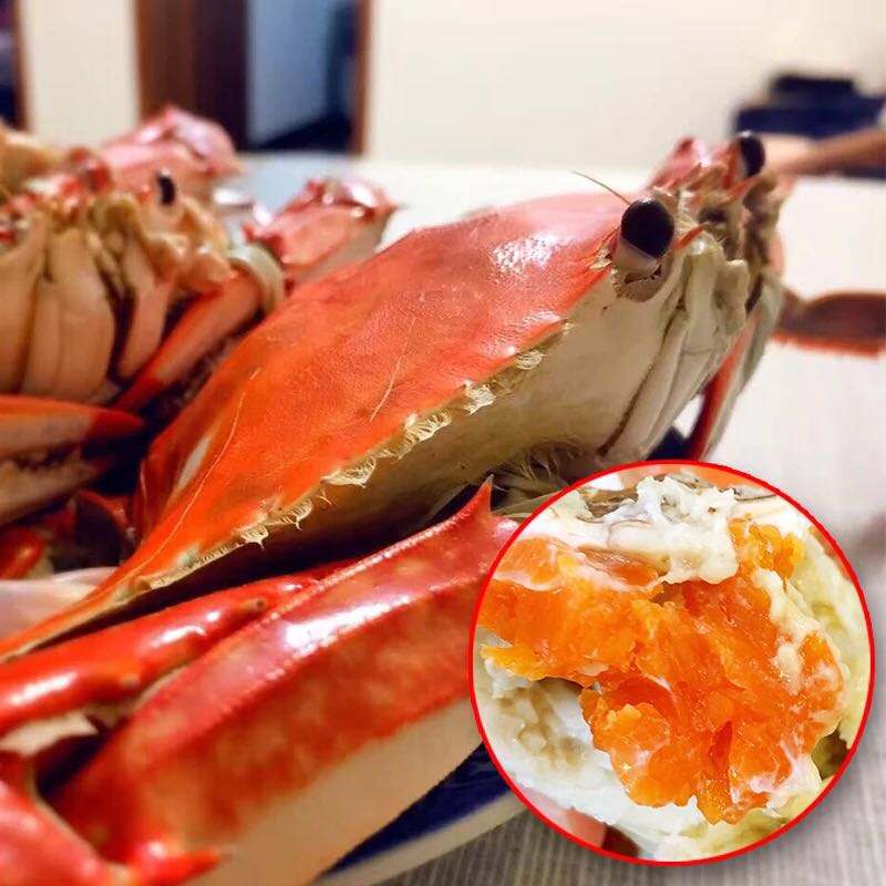 渤海新区,欢迎你到唐山来