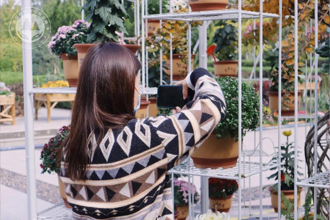 金秋时节菊展赏菊,趁着周末逛菊展