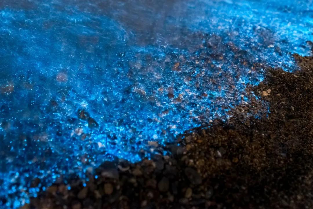 旅游三亚和厦门哪个更值得去,三亚和厦门哪个更值得去三亚旅游