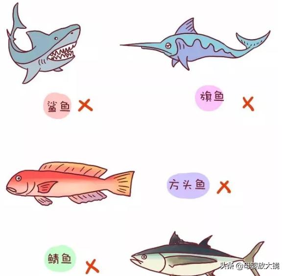 孕期11大禁忌食物有哪些,孕期的禁忌食物一览表