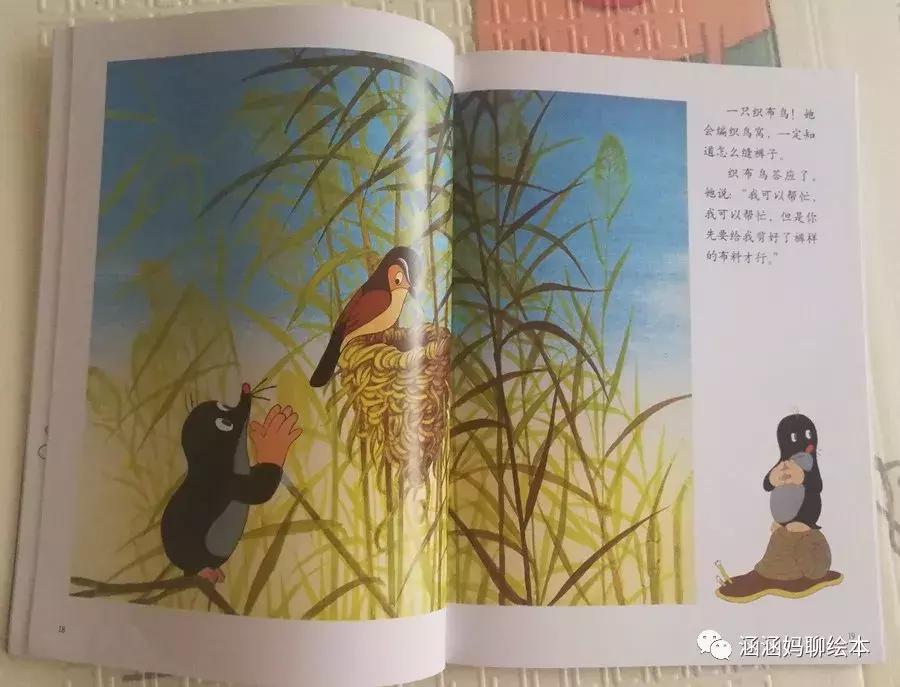 有什么好看的科普类动画片,好看的科普动画片