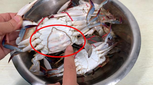 活的梭子蟹可以放冰箱保存多久,梭子蟹放冰水里还是加氧更好保存