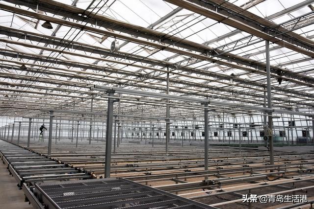 寿光蔬菜是怎么流通到全国各地的,寿光蔬菜都卖到哪些地方