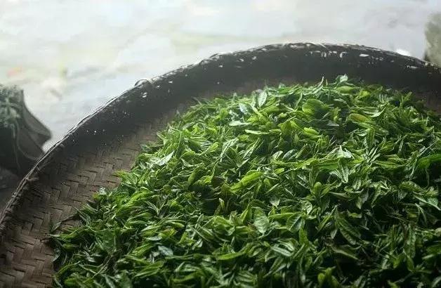 茶乡珍藏名茶,泉州老茶乡名茶