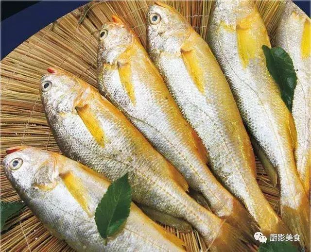 吃海鲜也要讲究时令,吃海鲜最佳的季节是什么时候