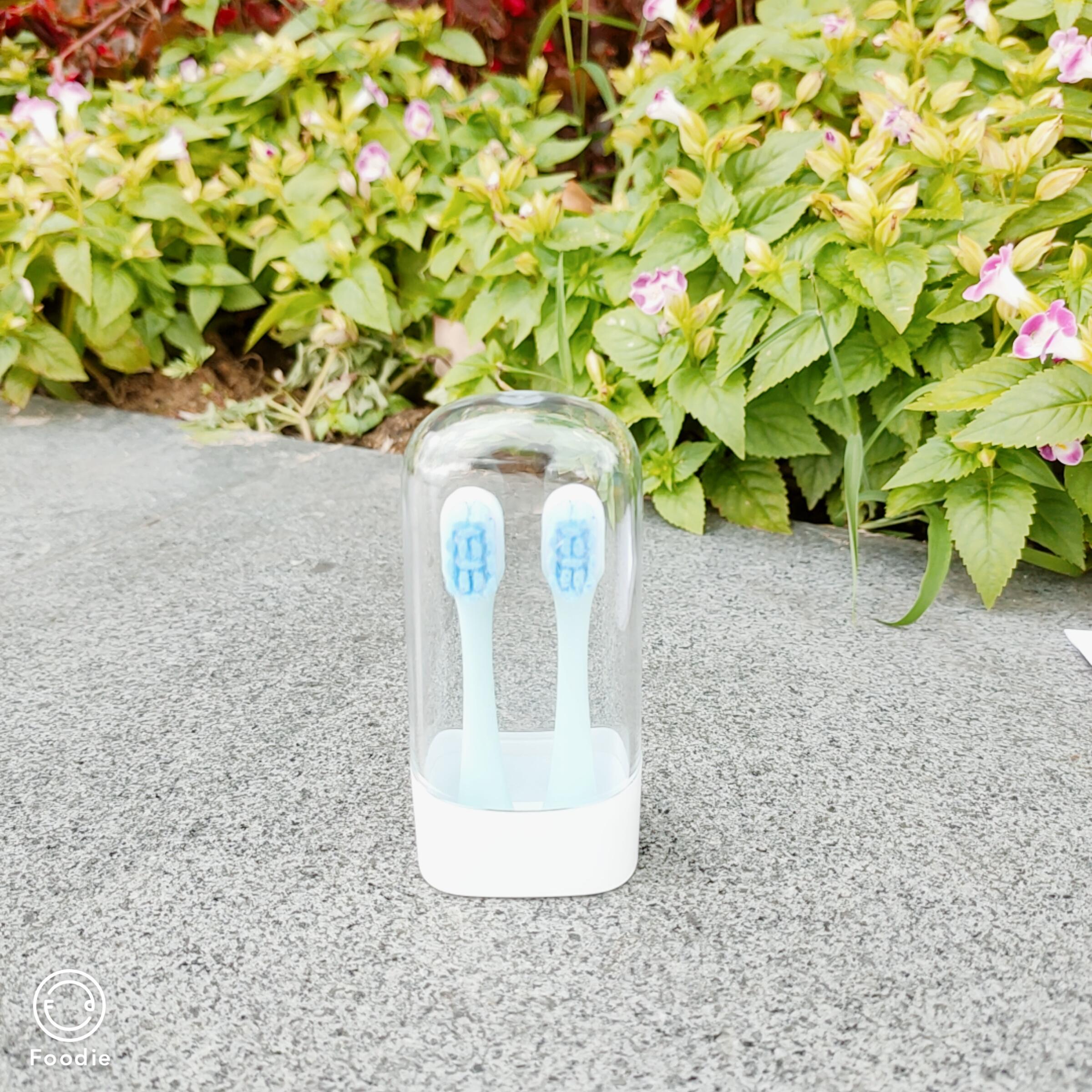 小浣熊儿童声波电动牙刷测评,宠物电动牙刷好不好