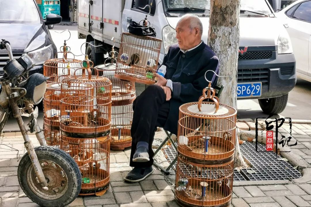 商丘道北花鸟批发市场,商丘花鸟宠物市场