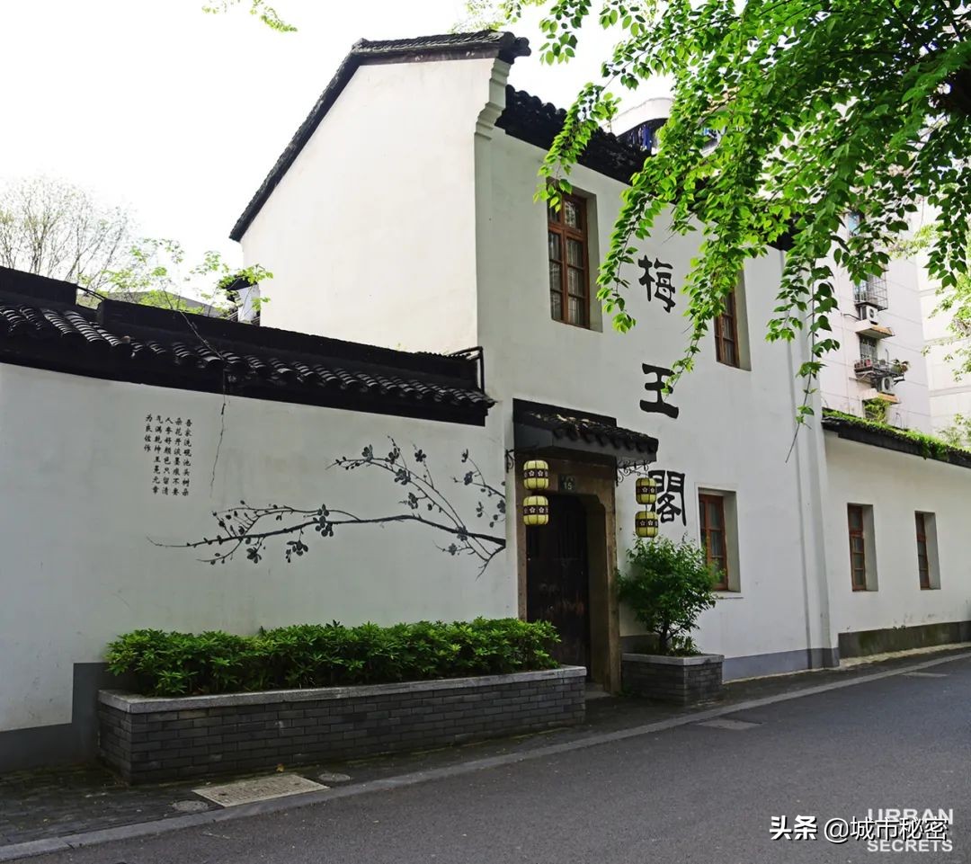 鏉窞瑗挎箹鍥涘ぇ瀹舵棌,鏉窞鍥涘ぇ鏈涙棌