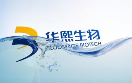 中国第三代玻尿酸,国内玻尿酸三大巨头