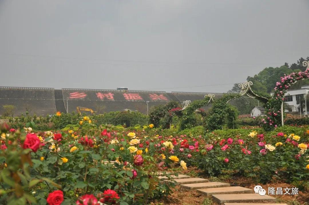 隆昌春光旅游攻略,春光正好多去户外活动