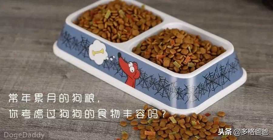 你知道狗狗是什么性格吗,你知道狗狗一些行为有什么含义吗