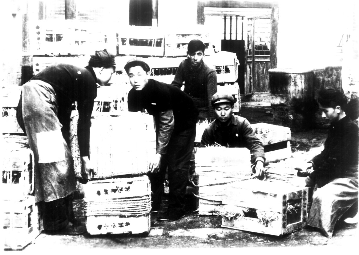 揭秘让人“醋味十足”的山西老陈醋的前世今生