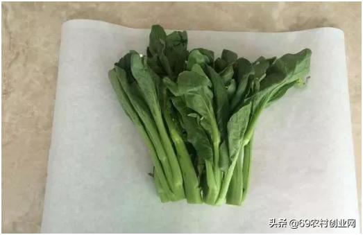 在农村创业九大赚钱项目,农村创业十大赚钱项目