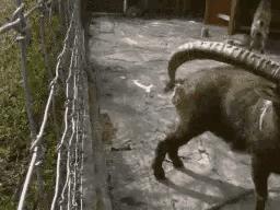 捡到了u盘里面会有什么,捡到一个u盘还好没有用