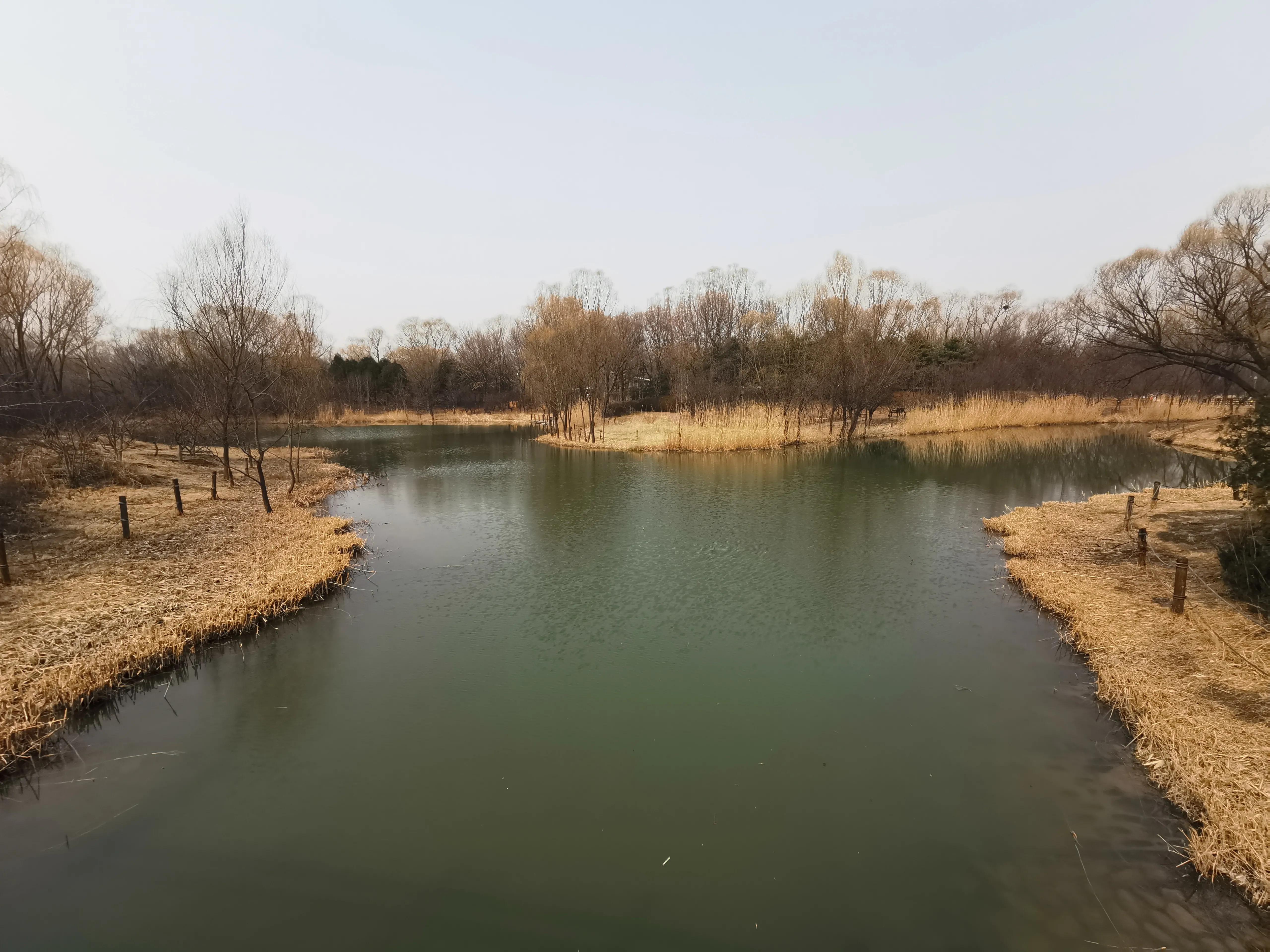 人生真趣，不过苍蝇小馆，把酒言欢