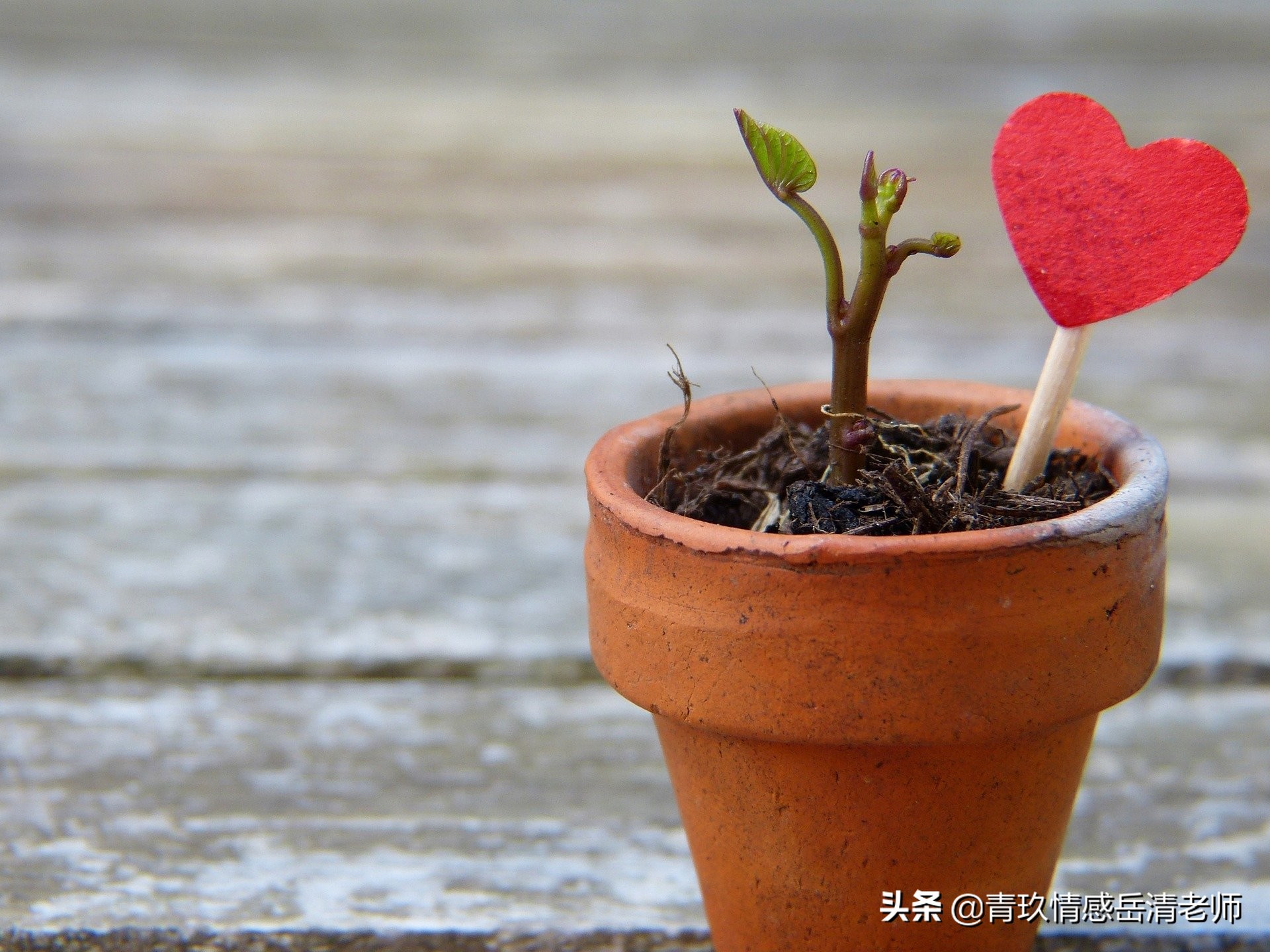 友达以上恋人未满算不算恋爱,女生说友达以上恋人未满有机会吗