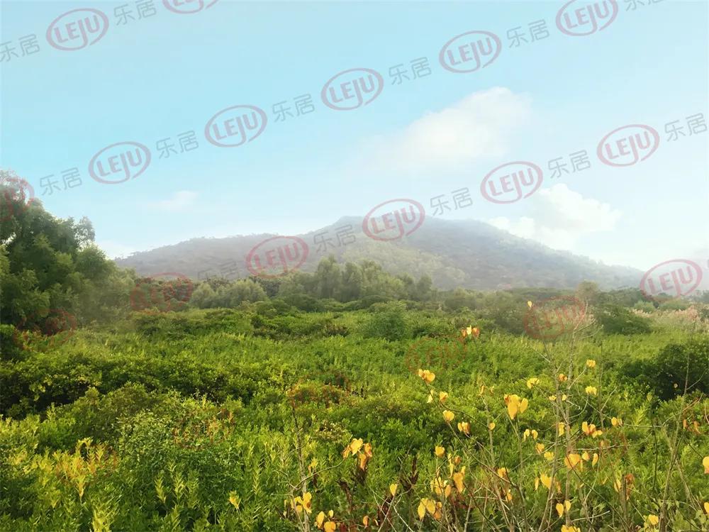 晚上可以去珠海的哪里看海,珠海在哪里看海是最佳地方