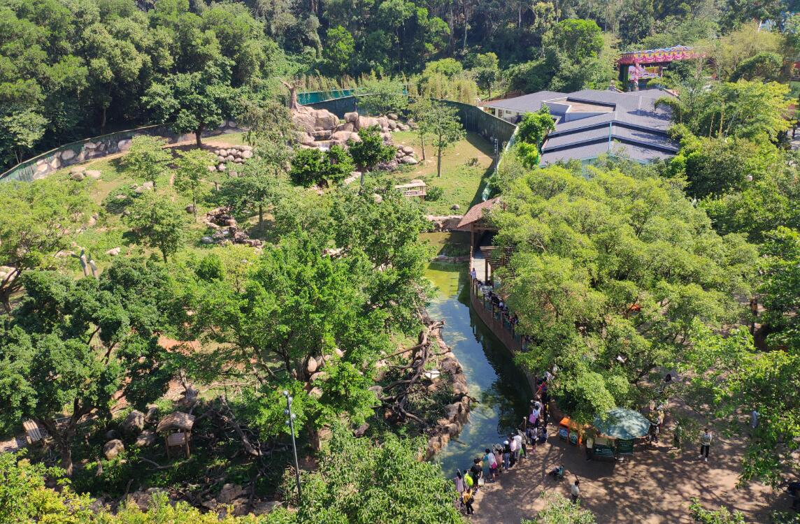 长隆野生动物园的缆车有多久时间,广州长隆野生动物园门票含缆车么