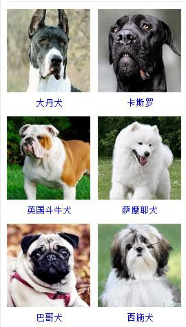狗狗品种大全及图片超可爱宠物狗,宠物狗的常见品种名称大全