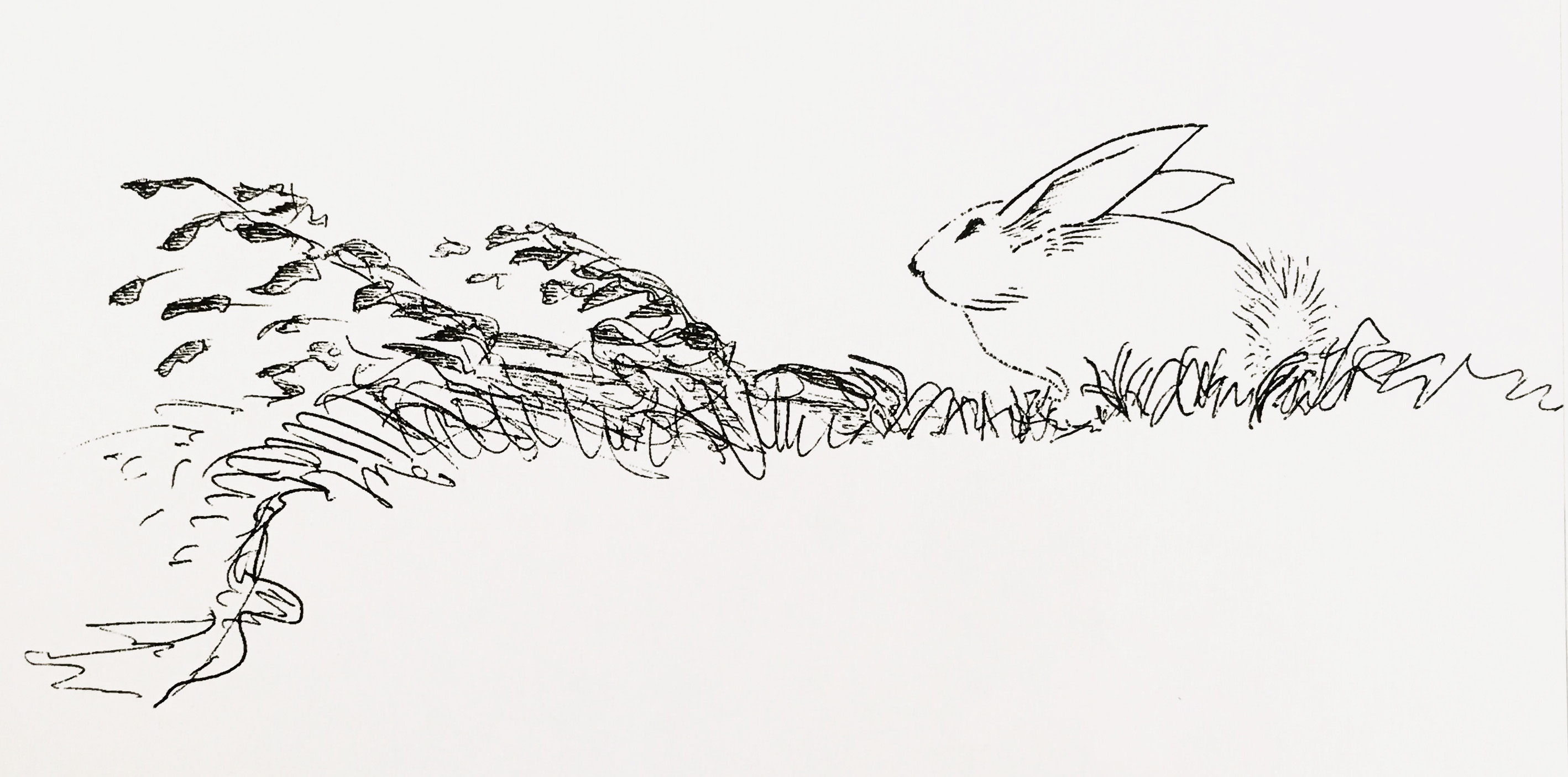 17张一只铅笔就搞定的黑白插画，画风简单，100年来却让人着迷