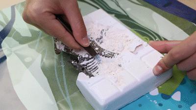 3-5岁儿童恐龙大全,0-6岁儿童恐龙合集