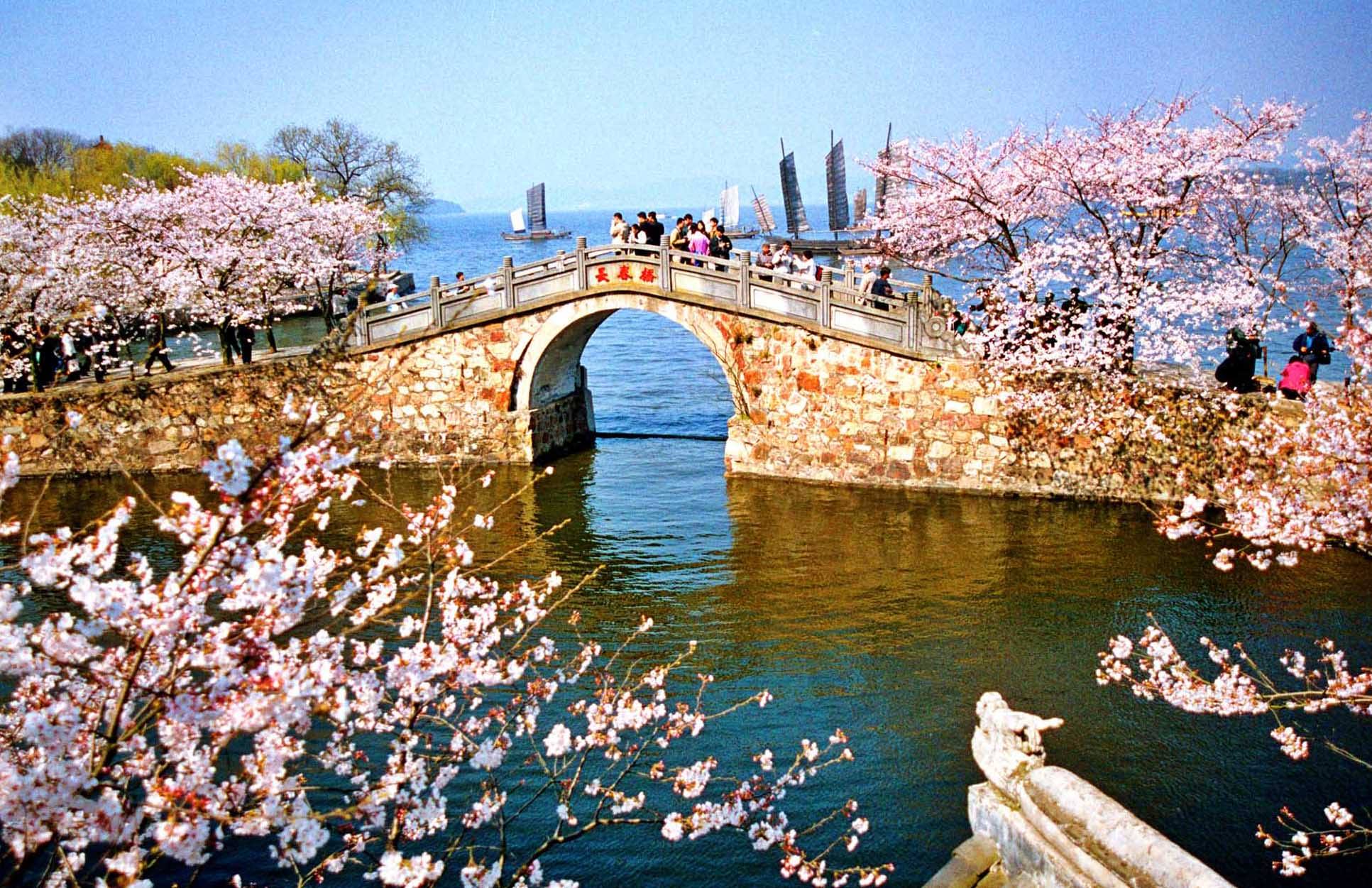 无锡鼋头渚赏樱花旅游攻略,推荐去无锡鼋头渚赏樱花的缘由