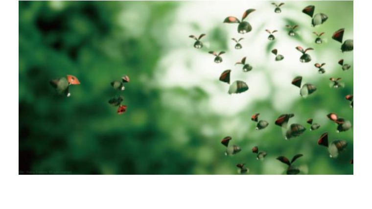 上海电影节2020年最佳影片,上海电影节有什么好看的电影