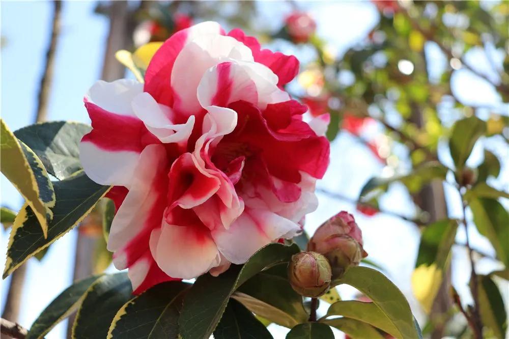 瞧！这花花世界谁不爱