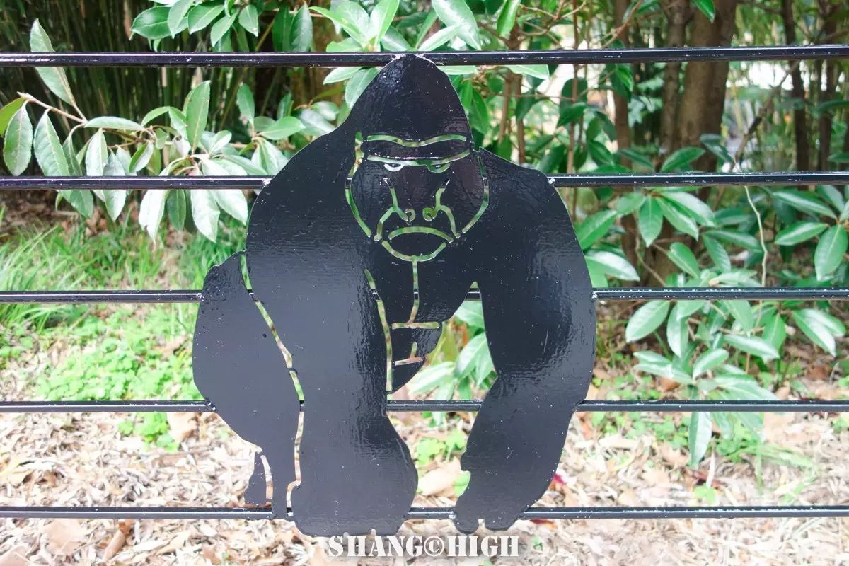 记者探访广州动物园,动物园观察动物