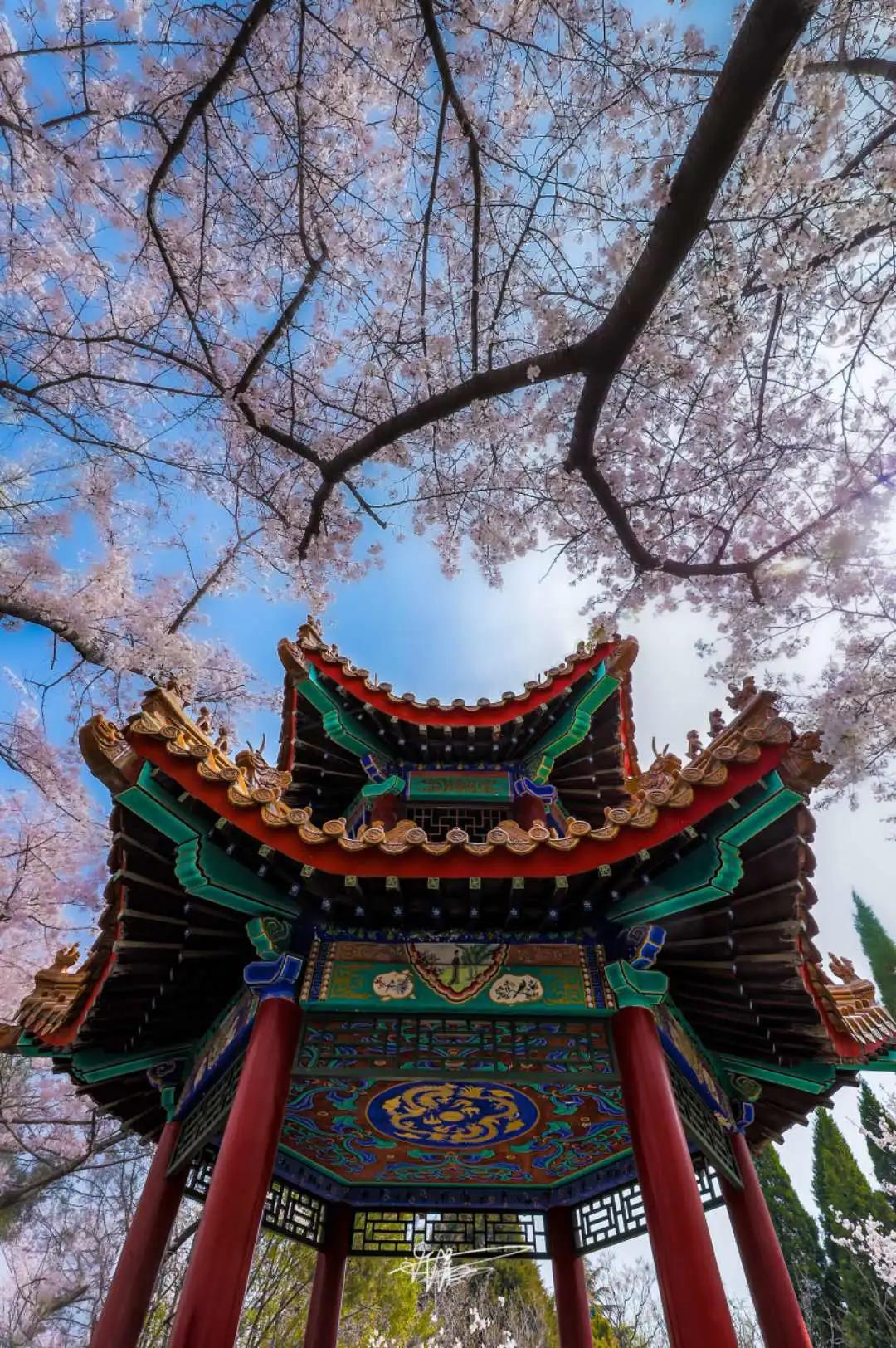 徐州清明假期旅游攻略,徐州春天去哪里旅游好