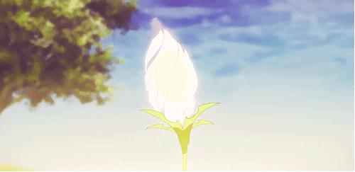 体育中心恢复开放的通知,武清体育中心篮球室外开放时间