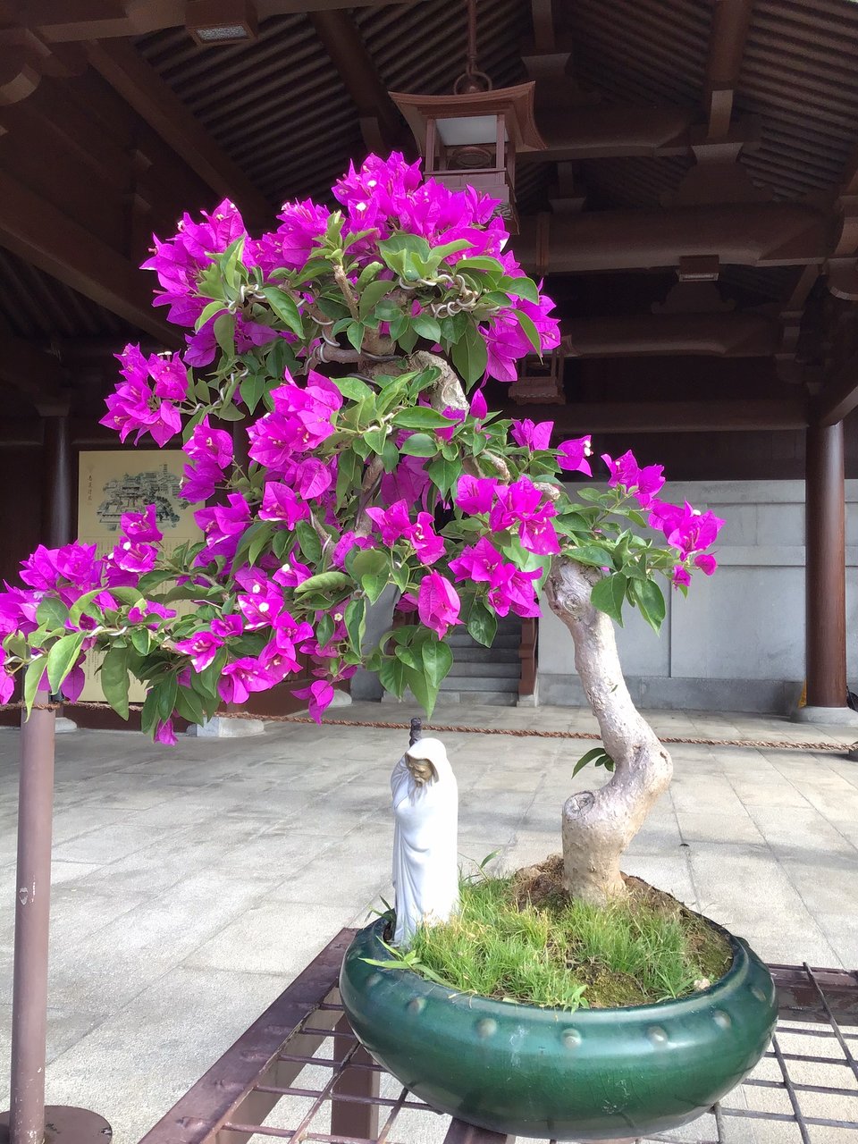 香港志莲净苑地图,香港志莲净苑好玩吗