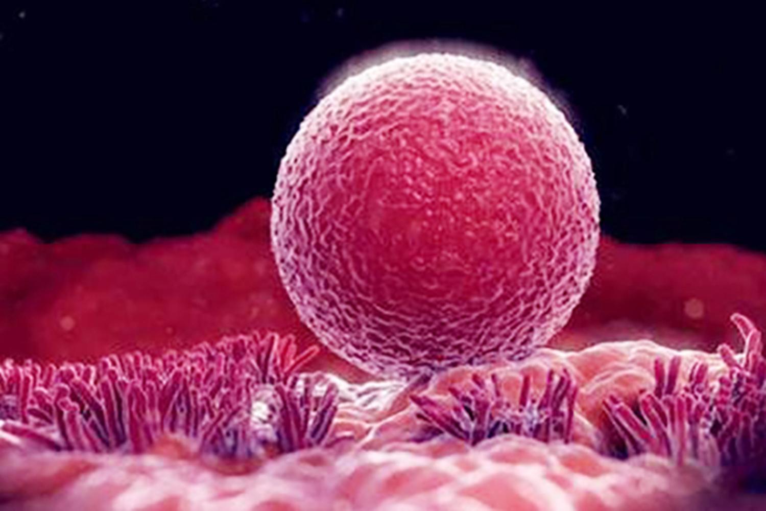 怀孕停经以后才会出现各种症状吗,怀孕了为何会有来大姨妈的现象