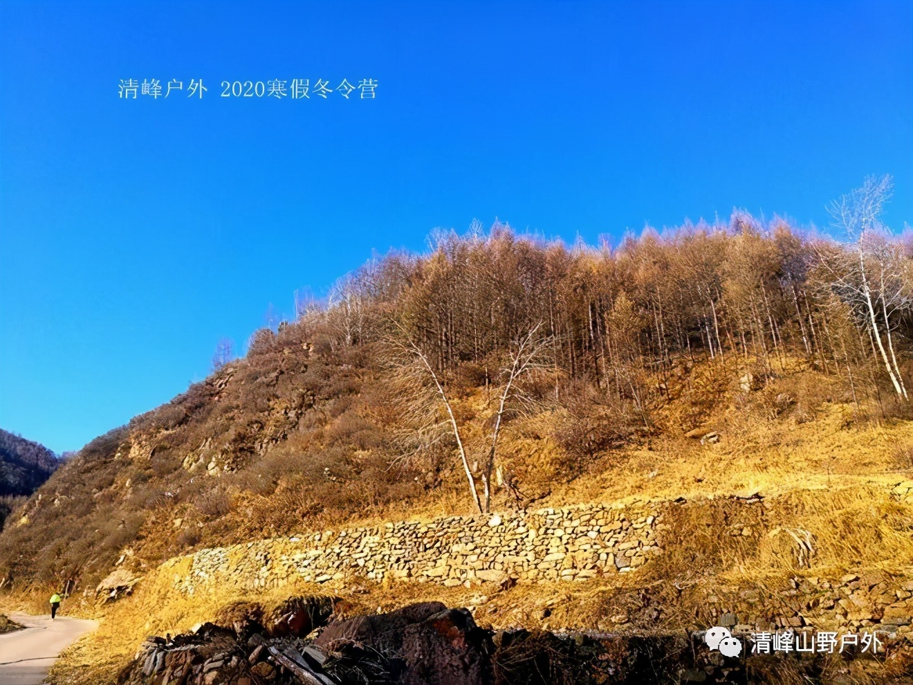适合小学生寒假去的冬令营,冬天儿童冰雪游学