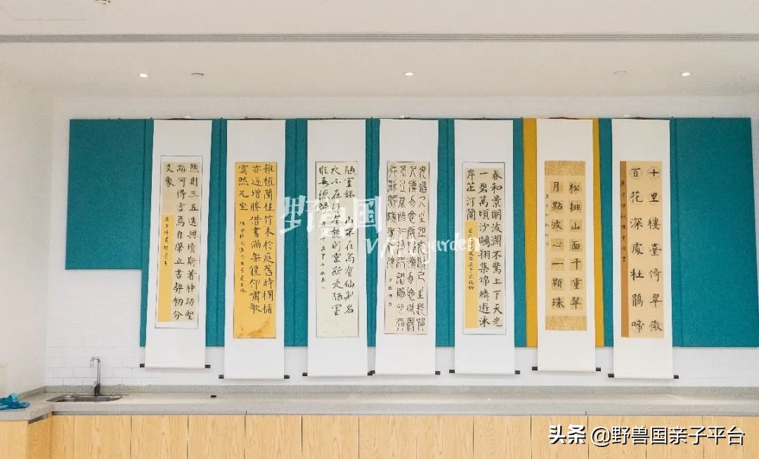 清澜山学校什么档次,入读清澜山学校需要什么条件