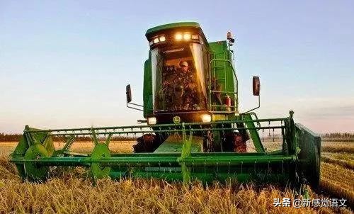 检查作文神器,作文四大神器