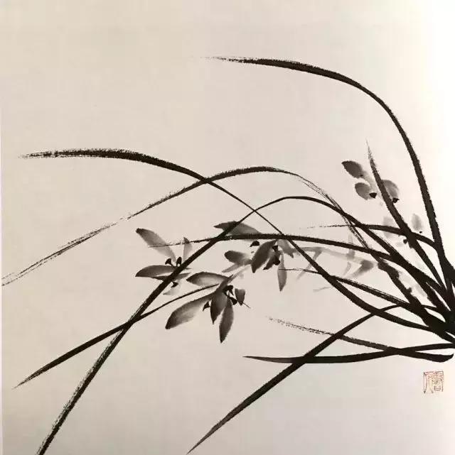 如何画兰花最好看的,君子兰花如何画