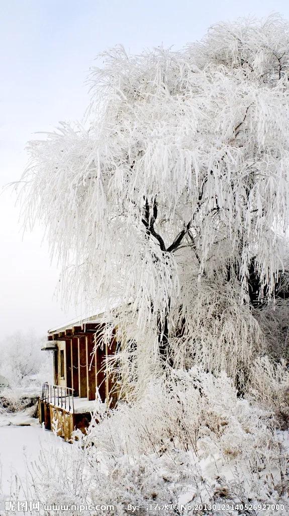 7种自然现象的物态变化,自然界中的物态变化总结