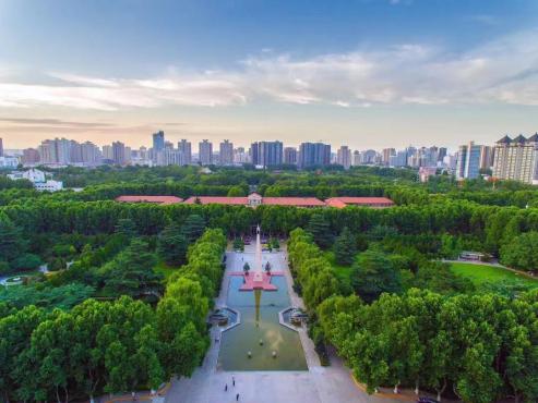 世界卫生策划治疗肿瘤的新方法,治疗肿瘤的最新研究进展