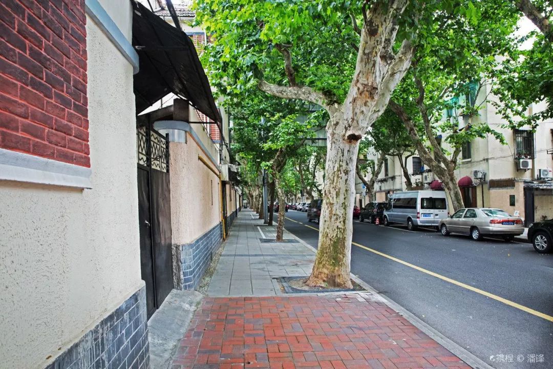 上海十大网红马路,魔都网红一条街