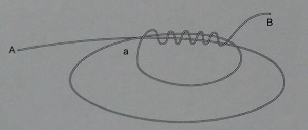 海钓pe各种线结打法,pe线海钓线结绑法