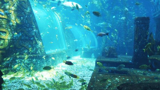 水世界海世界欢乐部落,桂林欢乐谷和融创海世界攻略