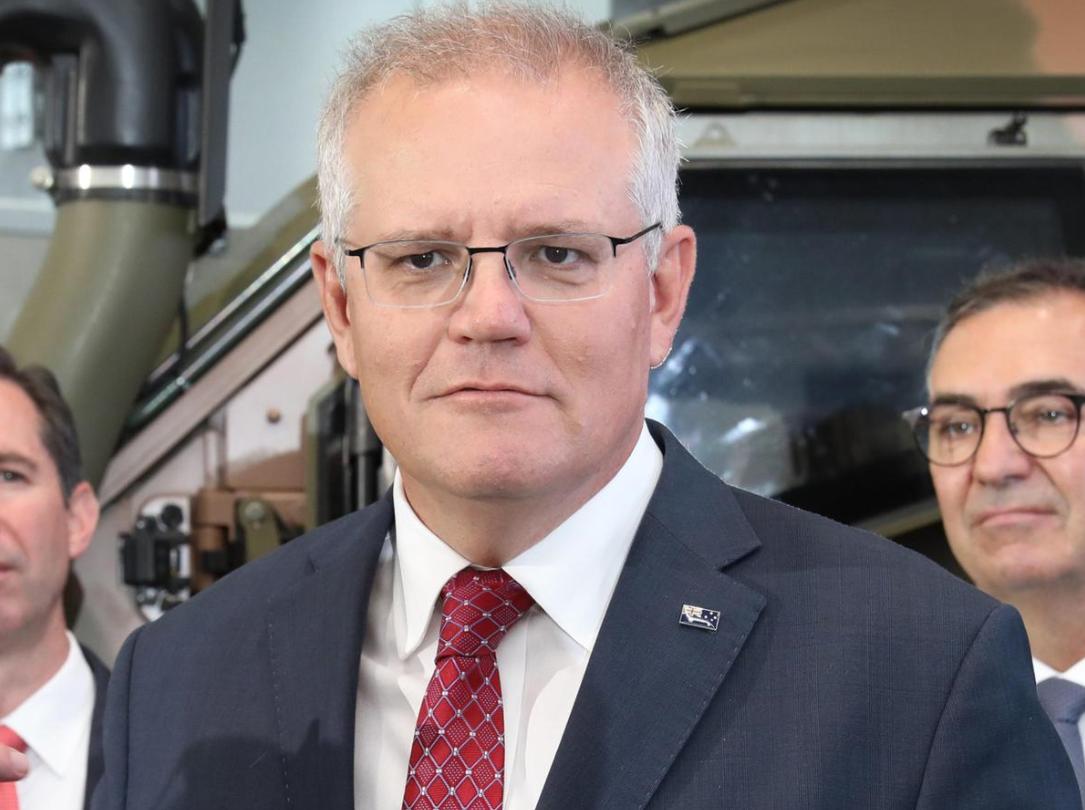 莫里森葡萄酒,莫里森的葡萄酒