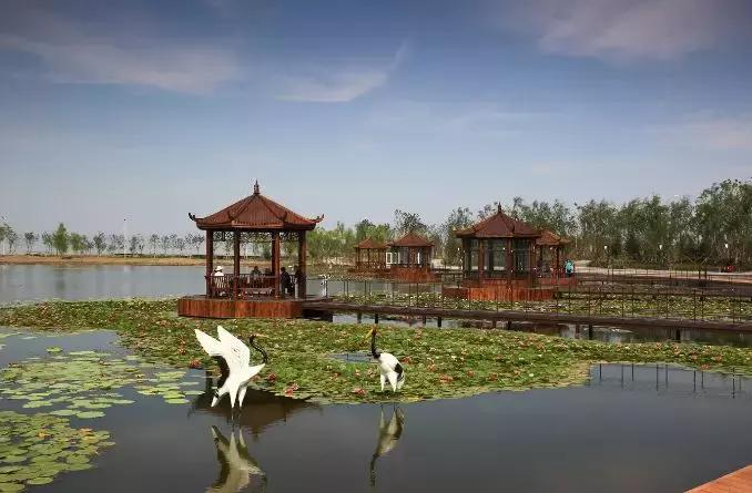 沈阳10大民生实事项目,今年沈阳12件民生实事全面推进