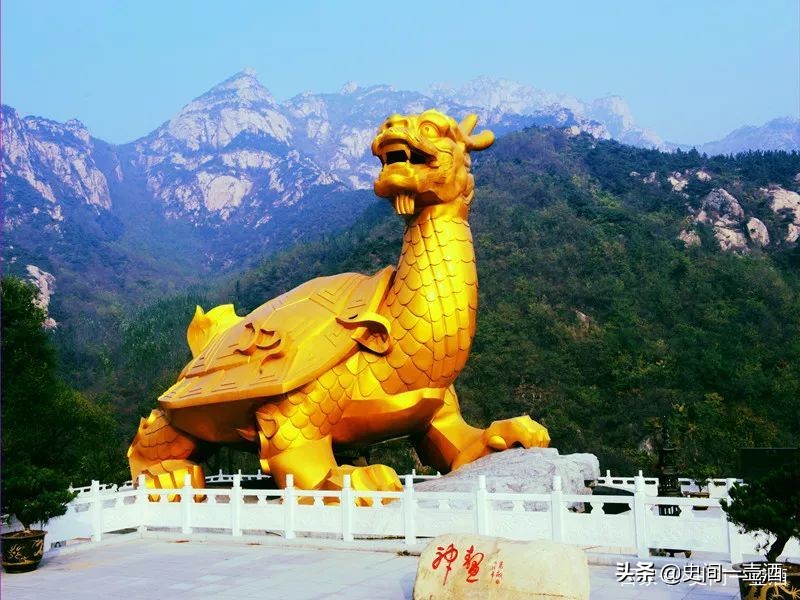 山东烟台龙口苹果红富士脆甜,龙口哪里买正宗红富士苹果